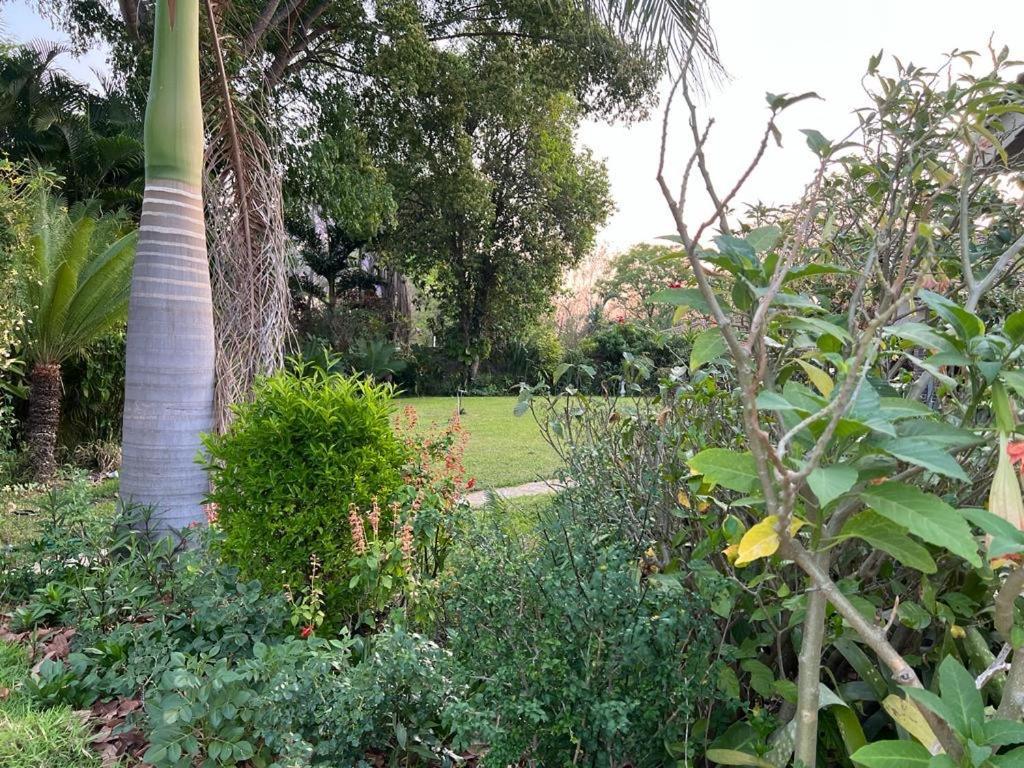 Golden Bamboo Hotel Nyanda Luaran gambar